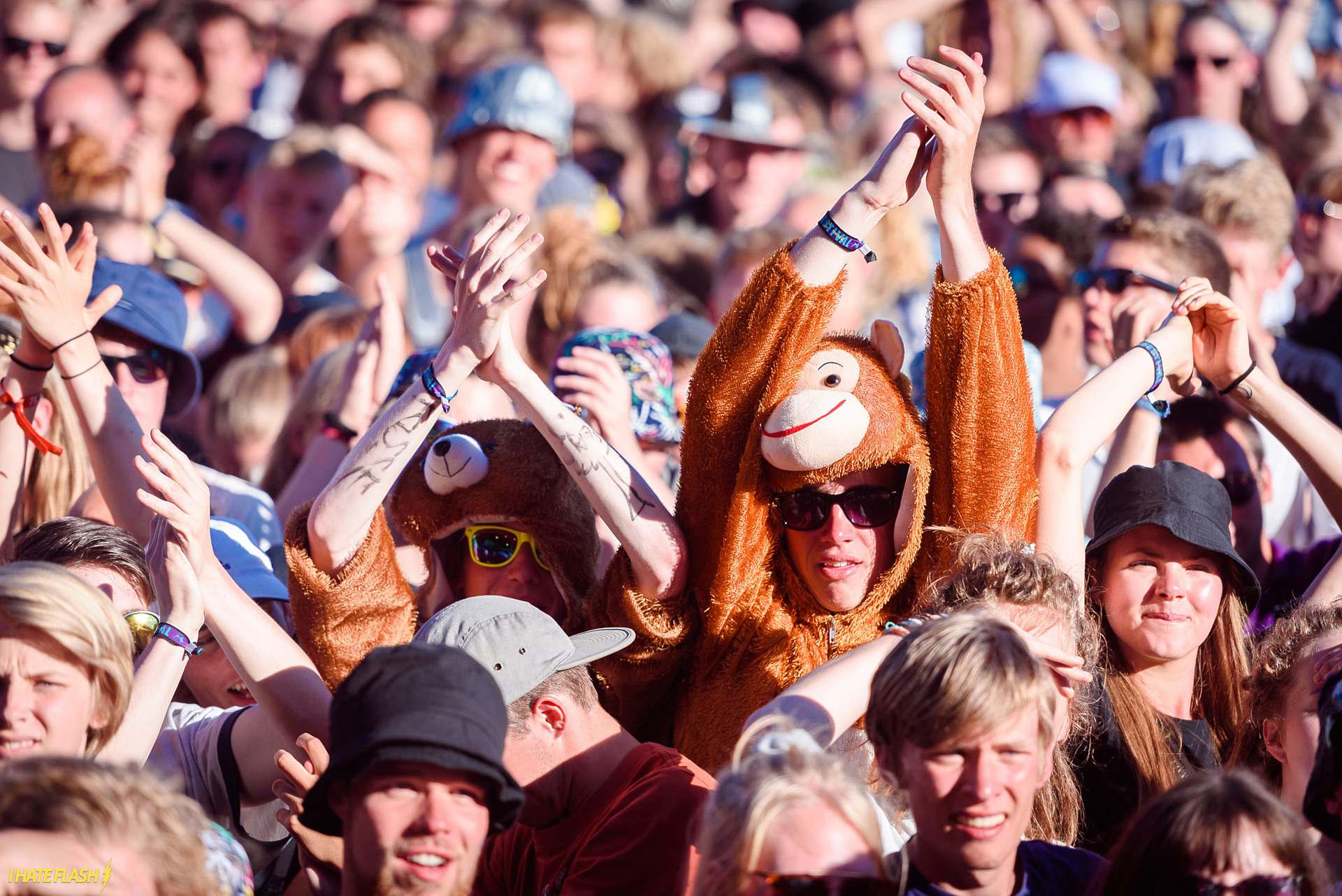 Roskilde Festival 2015