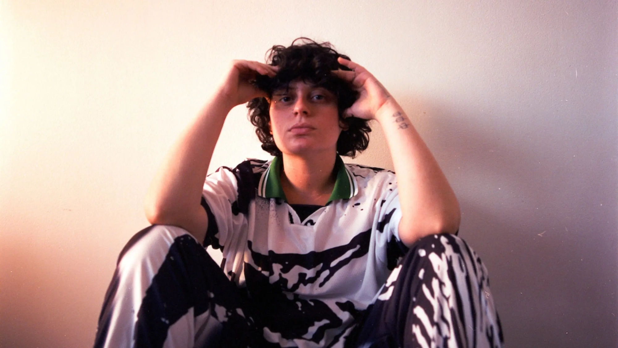 ana frango elétrico (banner)