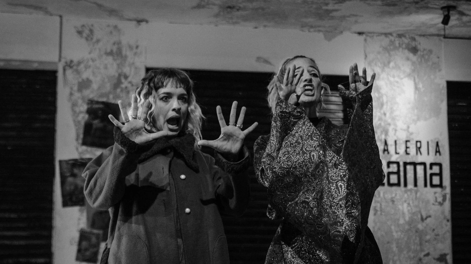 letrux + nouvella (banner)