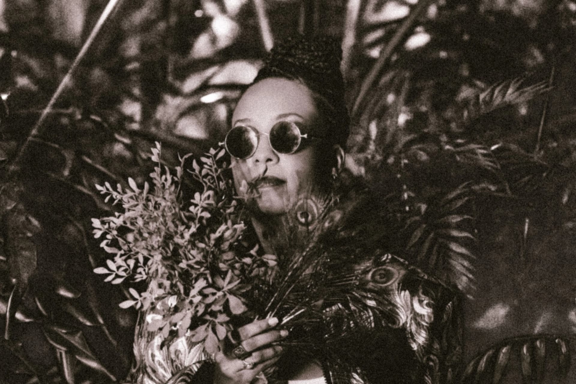 letícia fialho (feature)