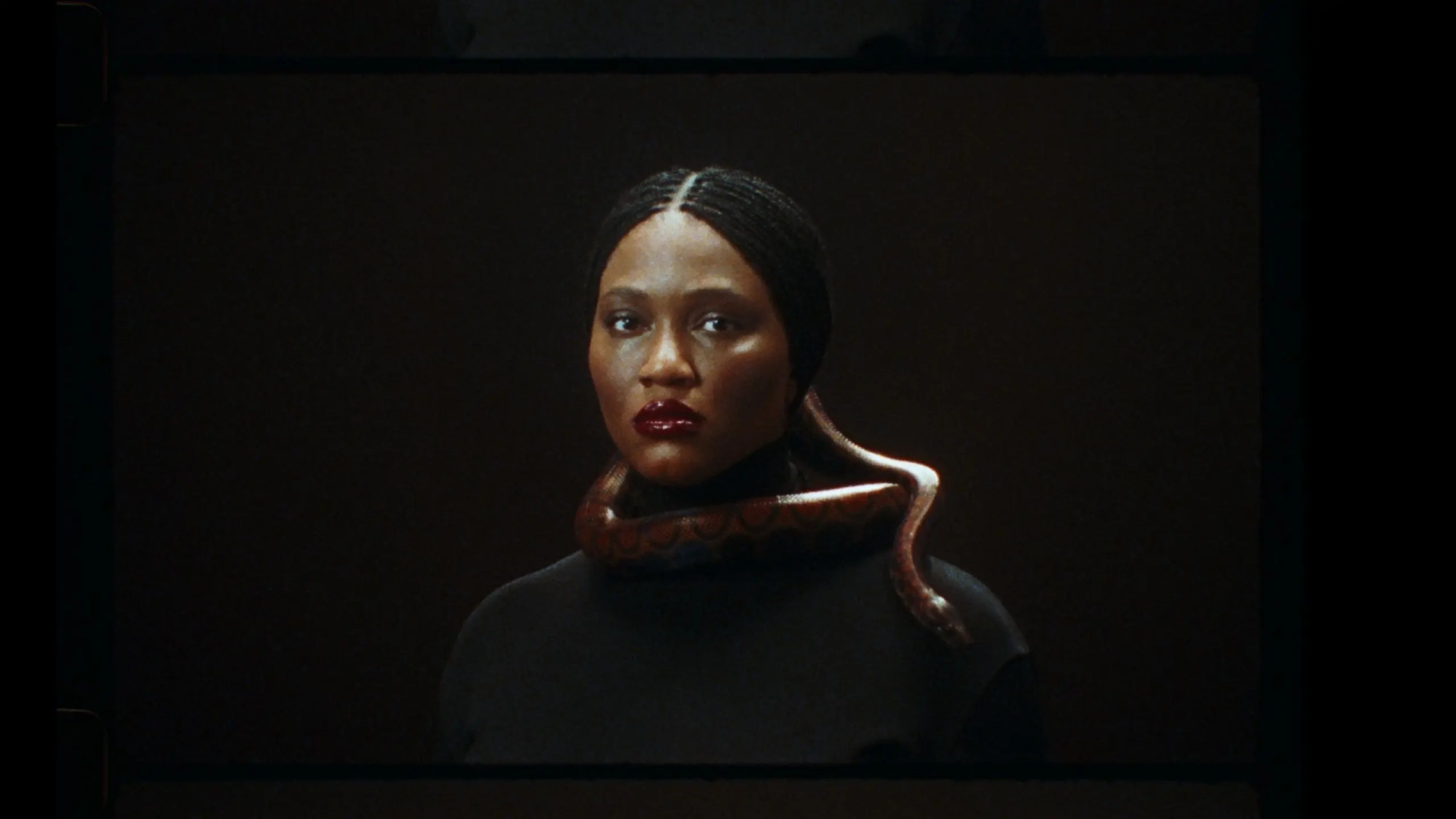 luedji luna (banner)