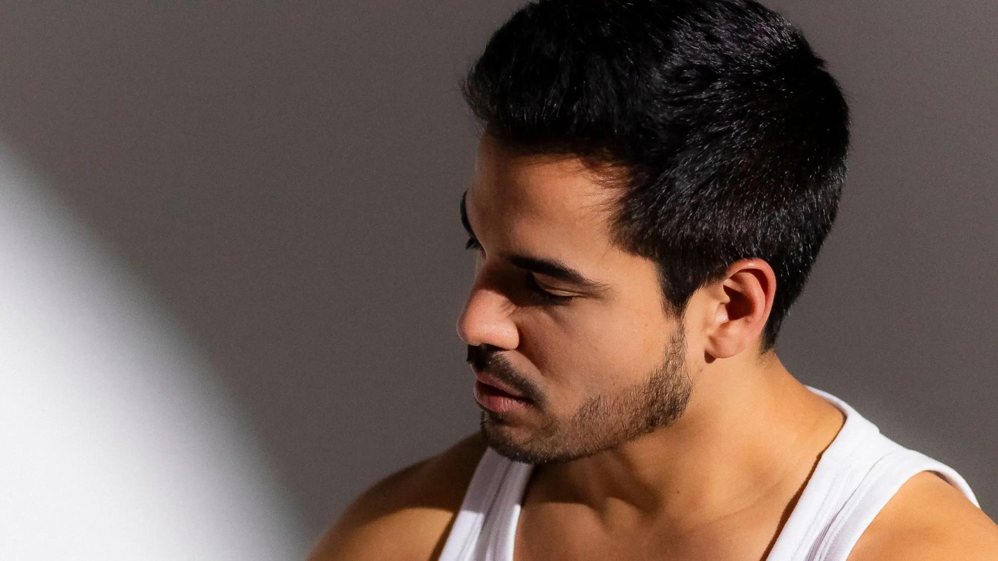 Bruno Gadiol (banner)