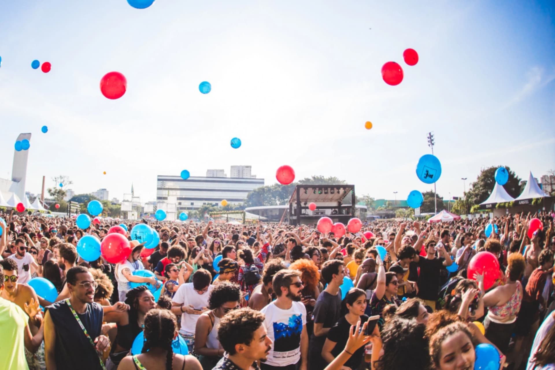 coala festival (feature)