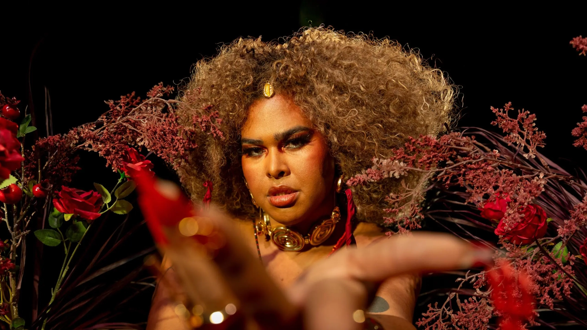 ayo tupinamba (banner) (1)