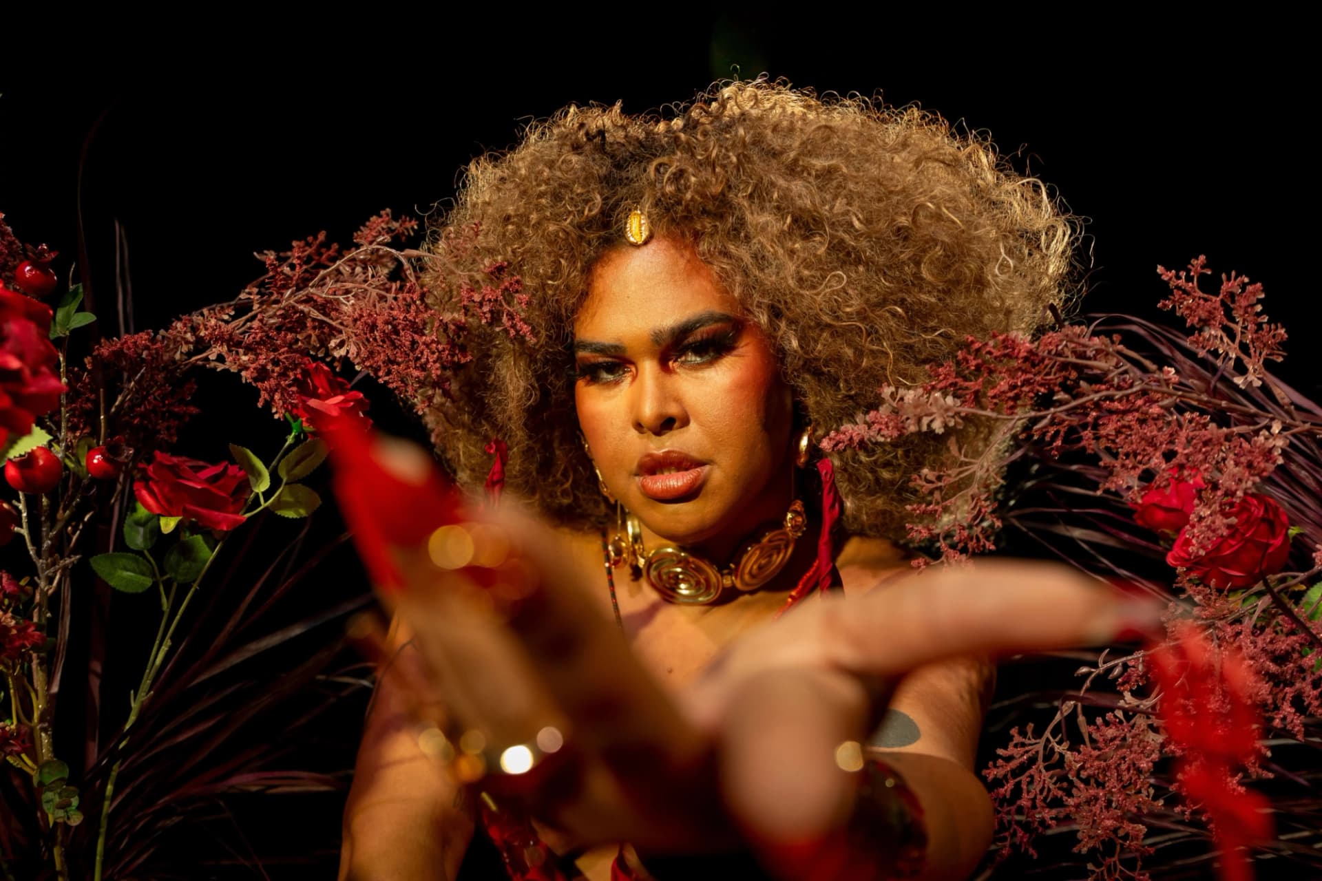 ayo tupinamba (feature)