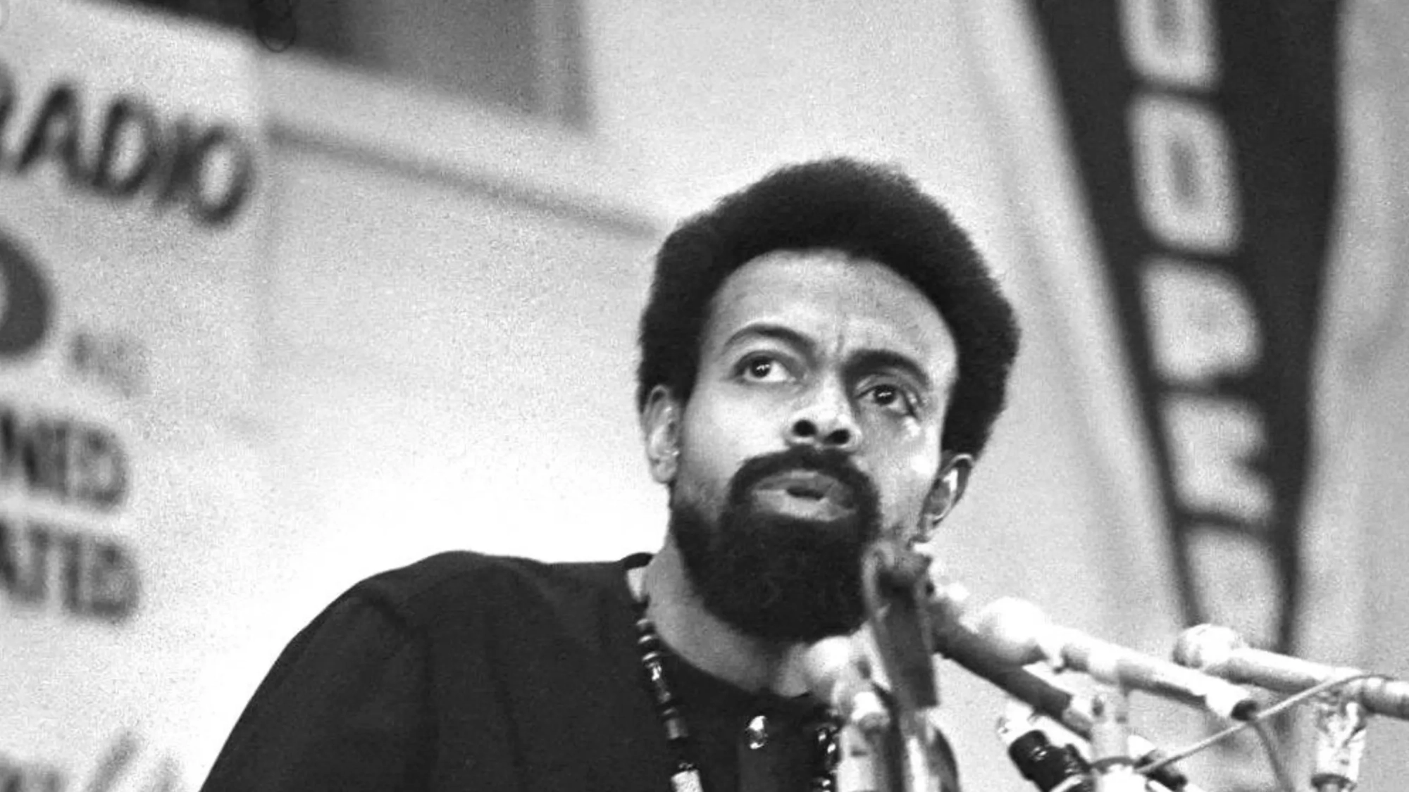 Amiri Baraka (banner)