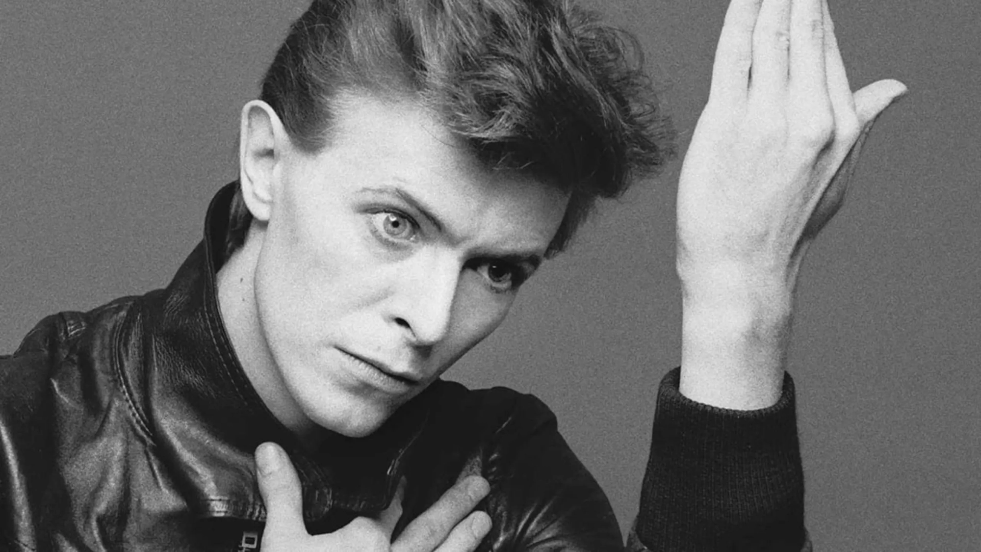 david bowie (banner)