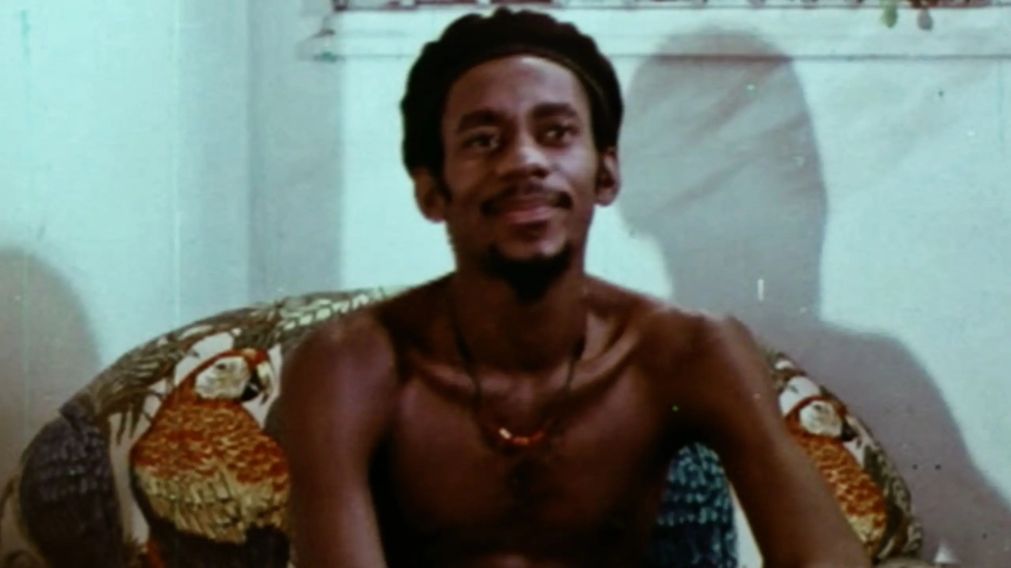 luiz melodia (banner)