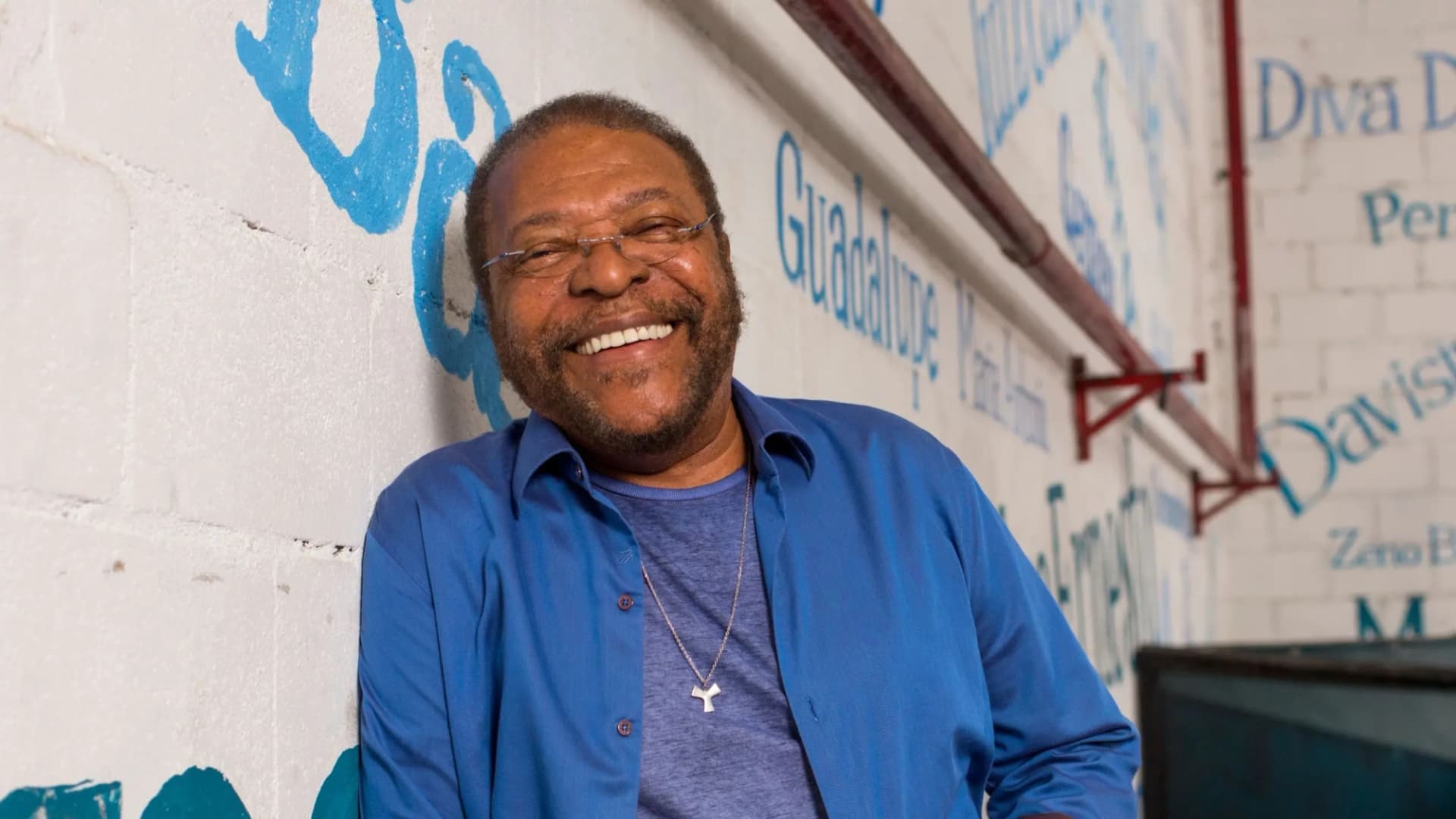 martinho da vila (banner)