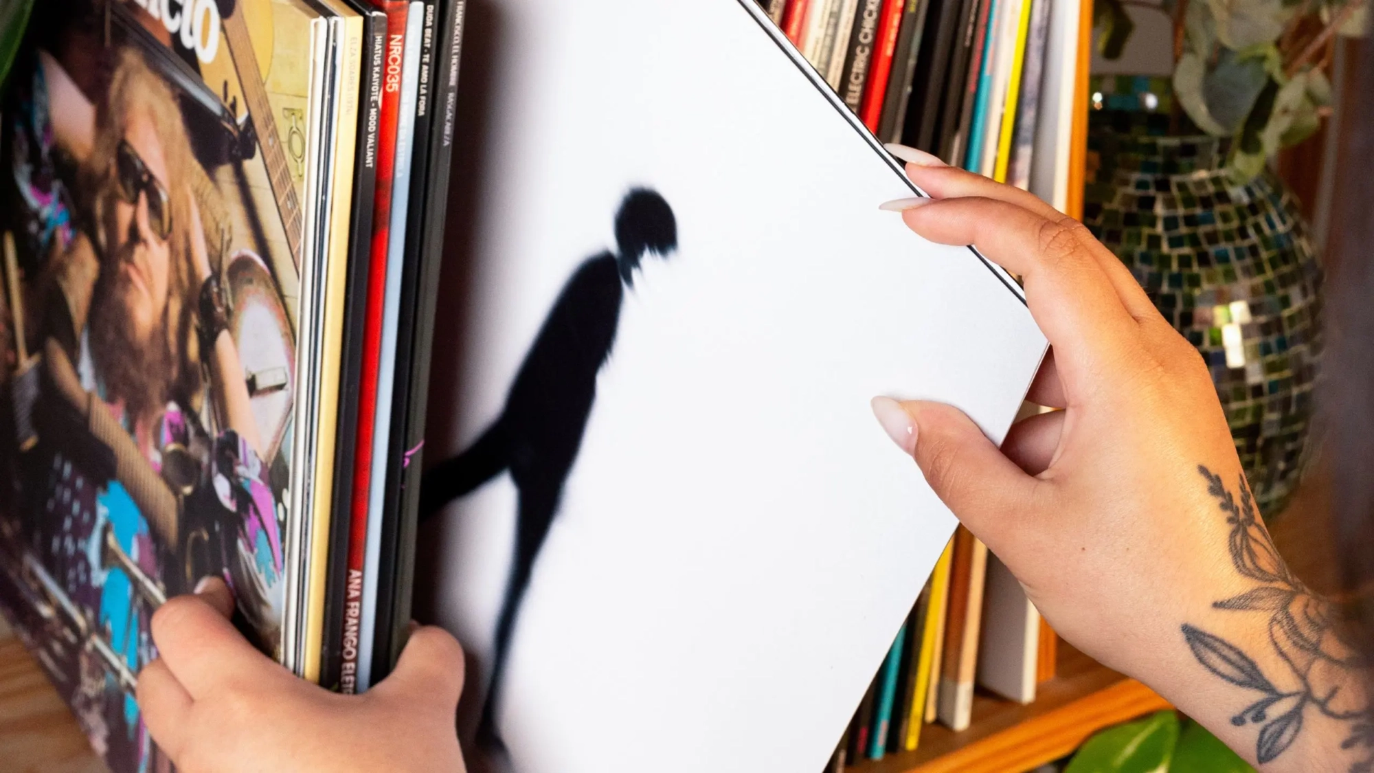 vinil - noize (banner)