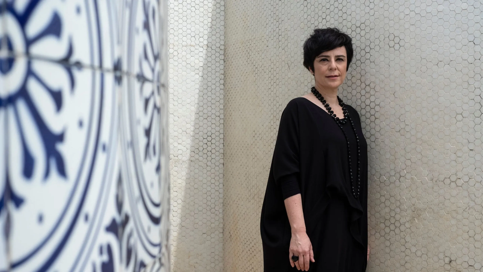 fernanda takai (banner)