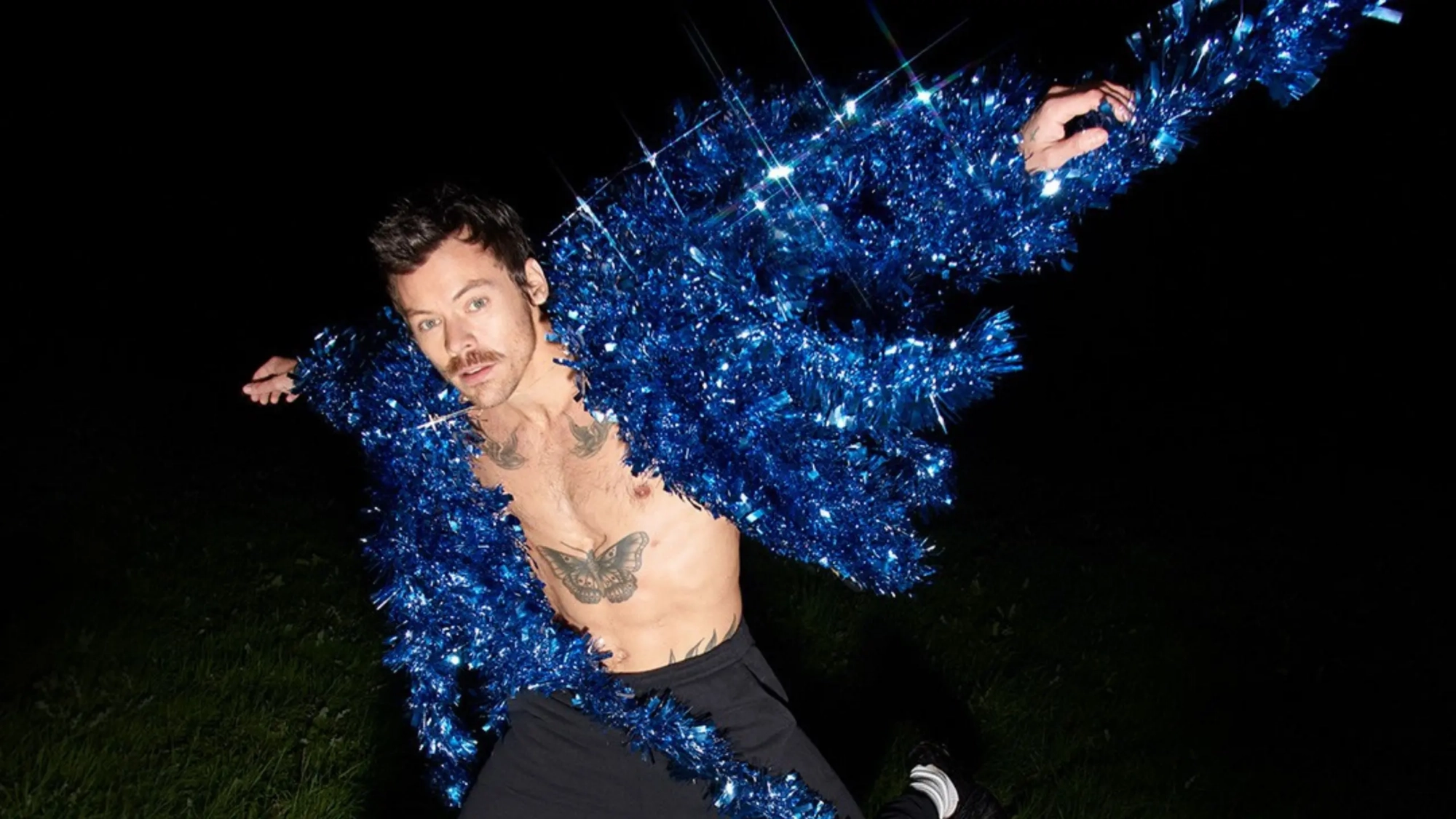 harry styles (banner)