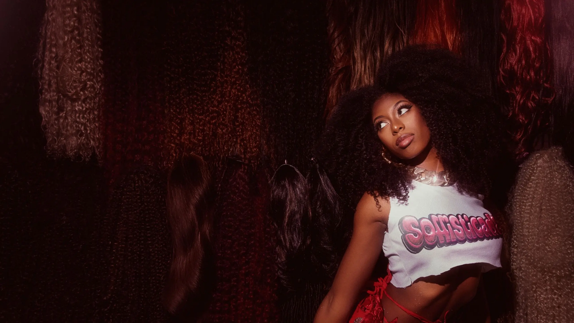mc soffia (banner)