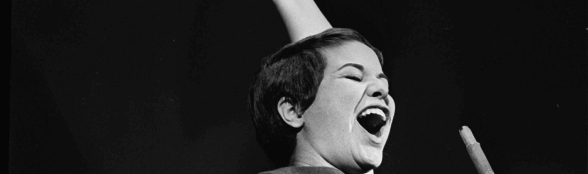 Capa - Site Noize - Elis Regina